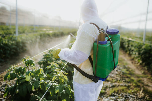 Wildlife Control Services in Gibsonia, PA